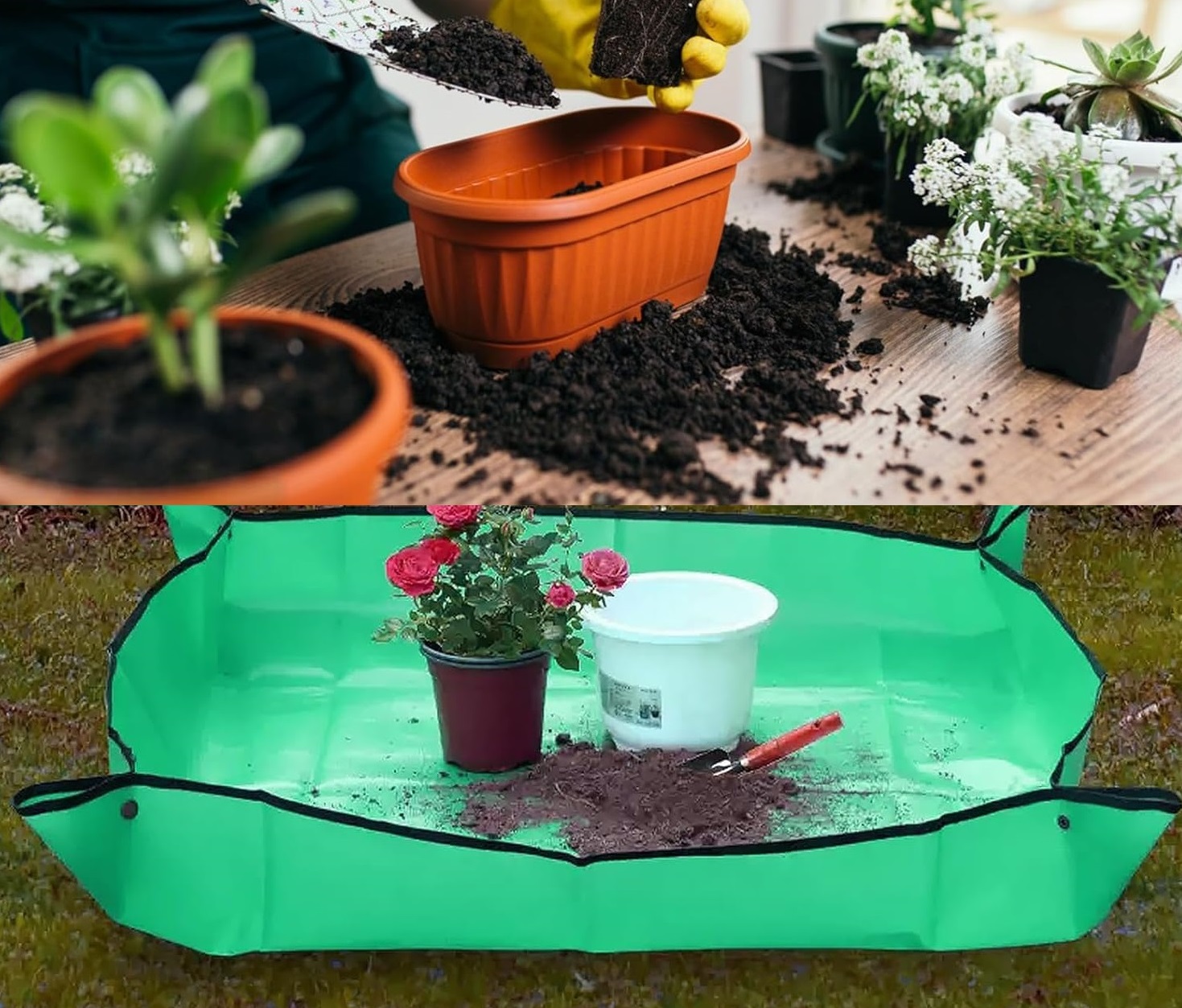 podložka na presádzanie rastlín